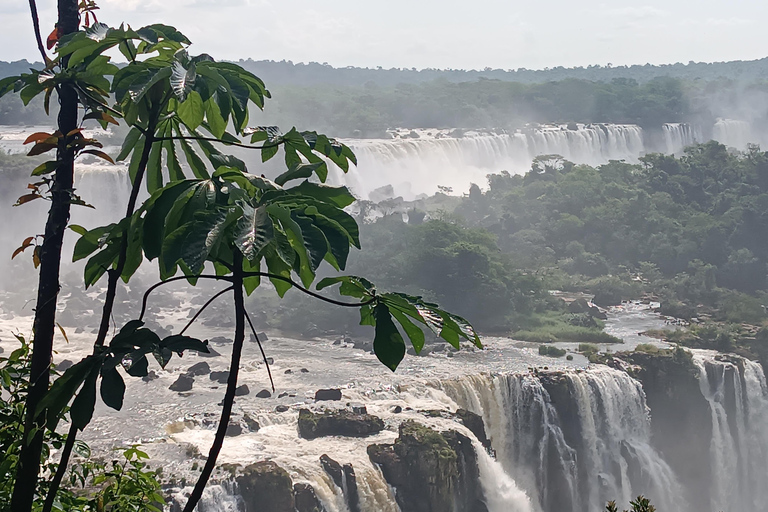 Van Puerto iguazu - privé - iguassu watervallen Braziliaanse kant