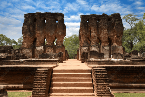 Polonnaruwa forntida stad och viltsafari från Dambulla