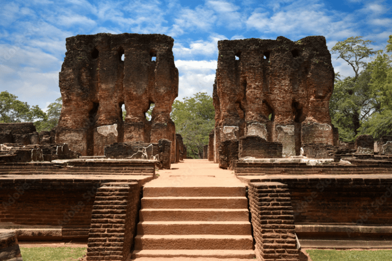 Polonnaruwa forntida stad och viltsafari från Dambulla