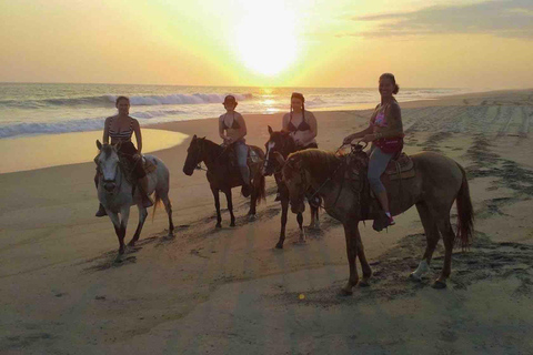 From Huatulco: Beach Horseback Riding Experience Regular Beach Horseback Riding Tour (2 hours)