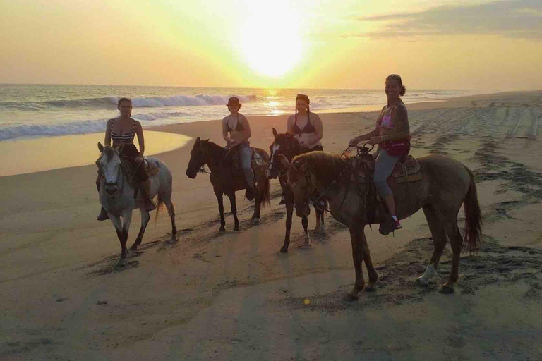 From Huatulco: Beach Horseback Riding Experience Regular Beach Horseback Riding Tour (2 hours)