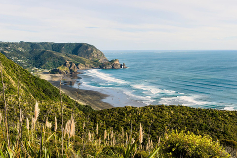 Private Auckland West Coast Tour - On the Edge of Wilderness