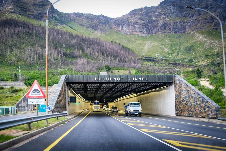 Cape Town: One-Day Safari with Game Drive & Lunch