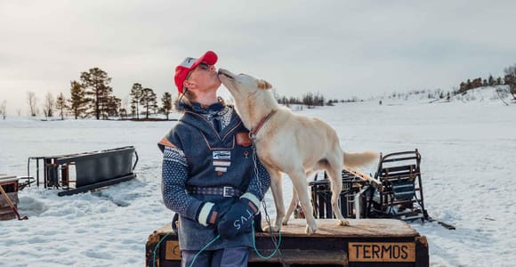 Tromsø: Husky Visit & Campfire with Local Norwegian Sausages