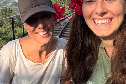Ella: All-Inclusive 5 Icons Tour with Train Ride
