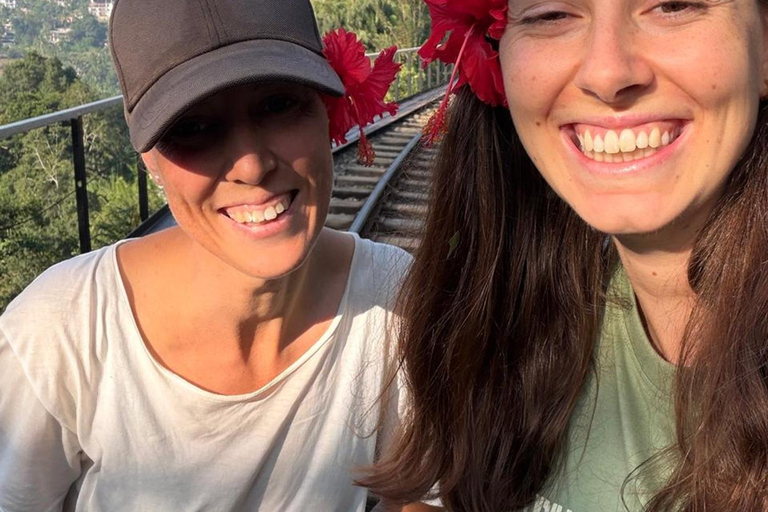 Ella: All-Inclusive 5 Icons Tour with Train Ride
