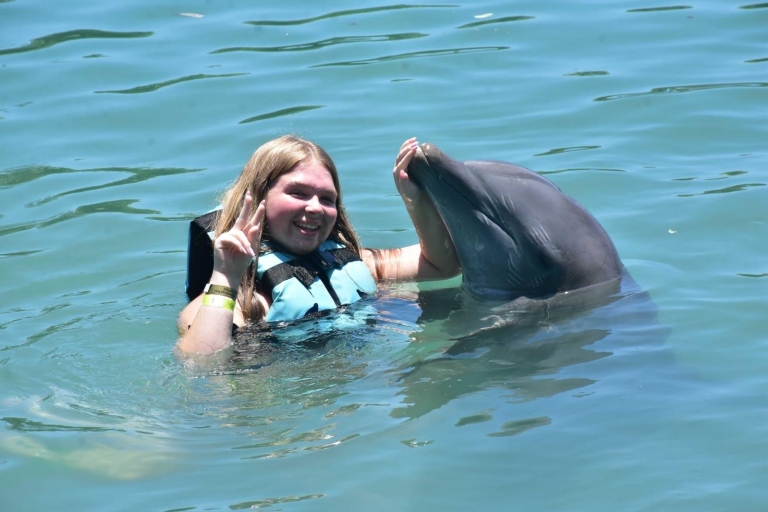 Montego Bay: Swim With The Dolphins Adventure in Lucea Swim: With Pickup from Montego Bay & Rose Hall Hotels