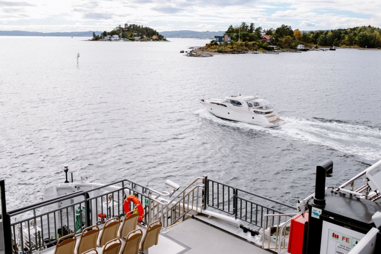 Oslo: Crucero turístico por el fiordo de Oslo en barco eléctrico