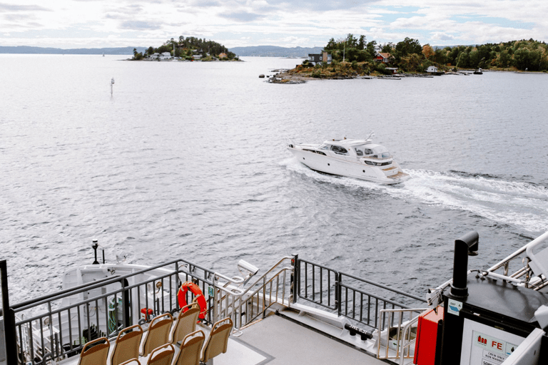 Oslo : Croisière touristique dans le fjord d'Oslo en bateau électrique