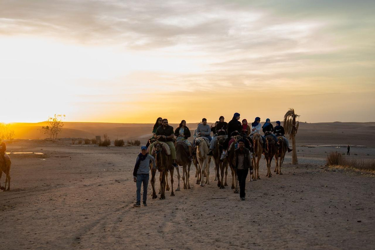 Au départ de Marrakech : Excursion en quad et balade à dos de chameau dans le désert d&#039;Agafay