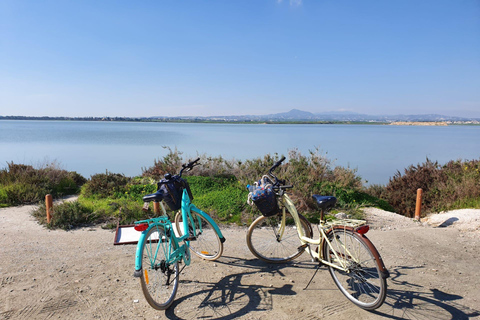 Larnaca: Salt Lake & Cultural Highlights Guided Bike Tour