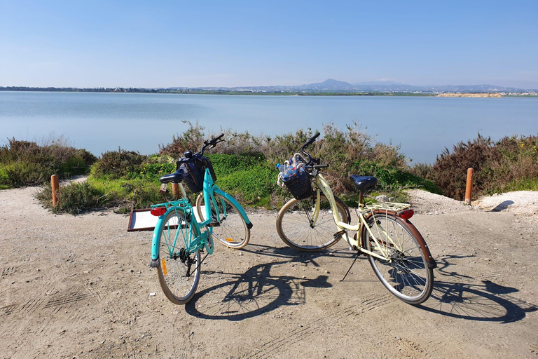 Larnaca: Salt Lake & Cultural Highlights Guided Bike Tour