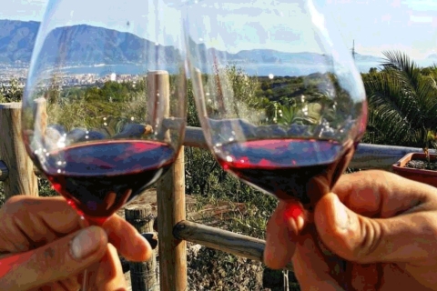 Pompeii ruins and Wine tasting tour