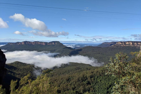 From Sydney: Blue Mountains Private Tour with Wildlife Park