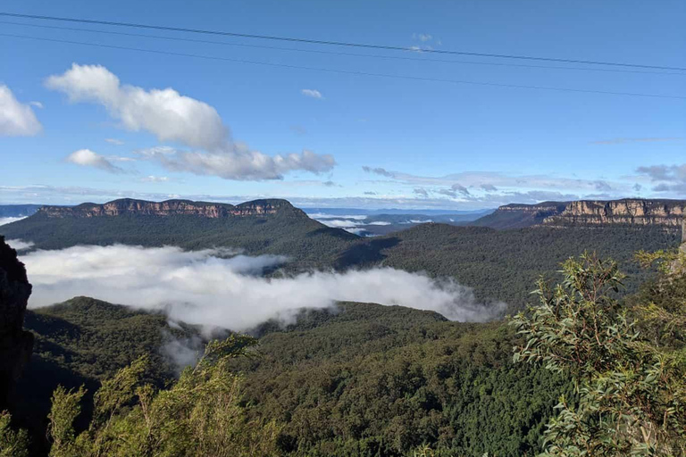 From Sydney: Blue Mountains Private Tour with Wildlife Park