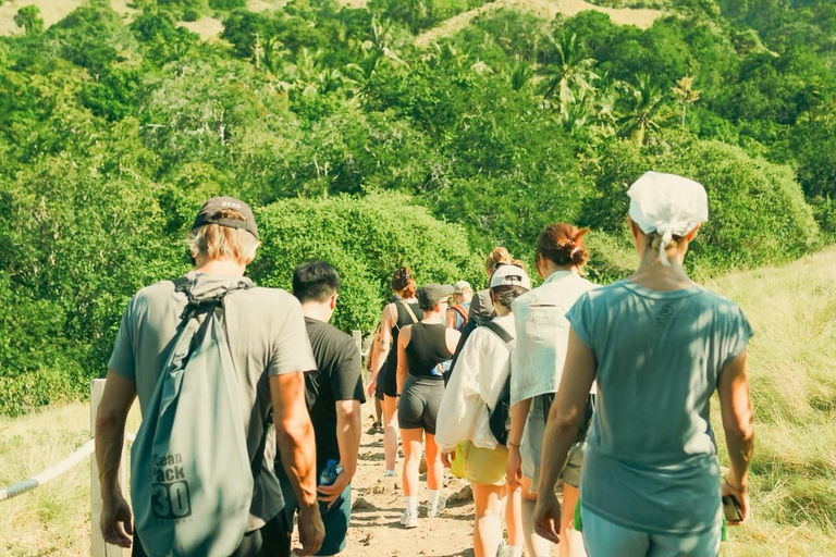 From Senggigi: 4-Day Whale Shark & Komodo Adventure