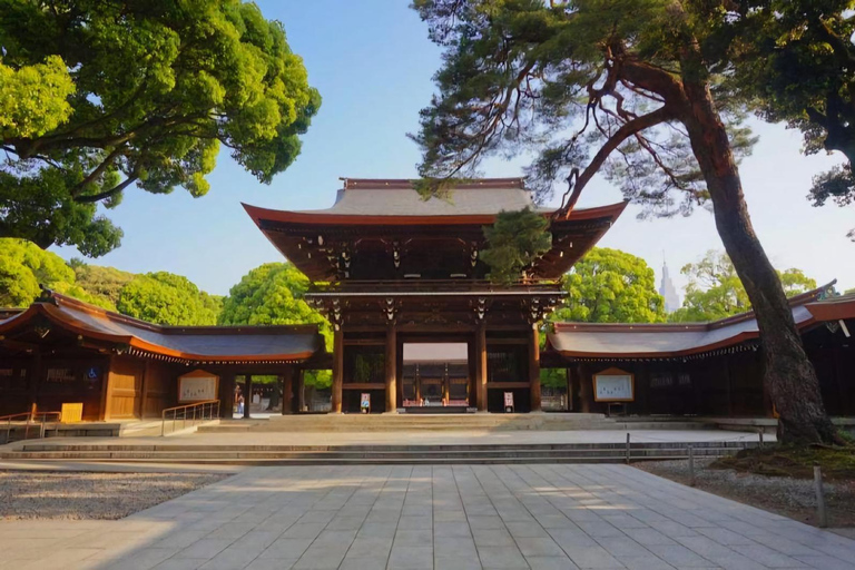 Tokyo Private Tour with English speaking driver Luxury Minivan(1 - 6)