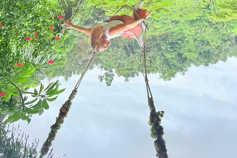 Ubud: gita di 1 giorno con guida tra cascate e terrazze di risoUbud: gita di 1 giorno alle cascate e alle risaie