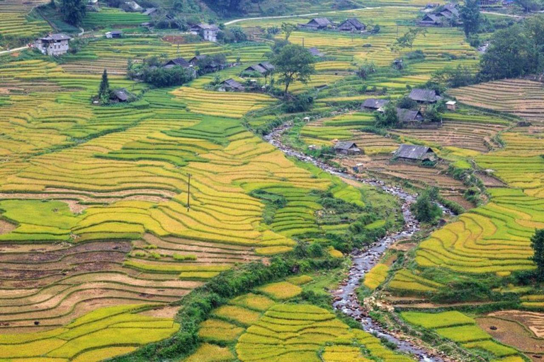 Vanuit Hanoi:Sapa 2D1N tour Cat Cat dorp en Fansipan piekVanuit Hanoi:Sapa tour 2D1N privétour met privébusje,...