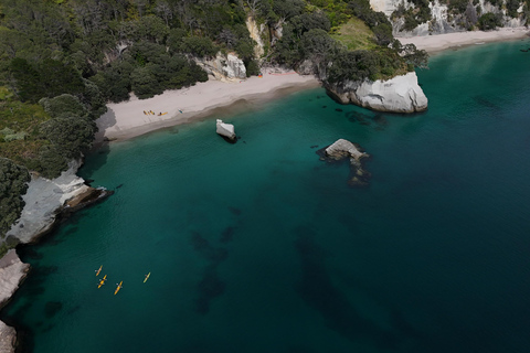 Ex Auckland Excursión de un día a las ISLAS ALDERMAN y la AVENTURA DE RUAMAAHU