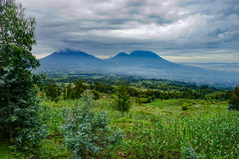 Excursión de 3 días para ver gorilas y chimpancés en Ruanda