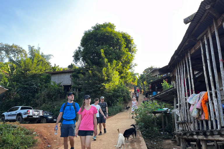 Chiang Rai: Jungle Adventure-Group Trekking & Bamboo Cooking