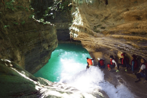 Walvishaai in Oslob, Tumalog-watervallen, Kawasan-watervallen, lunch (PRIVÉ)Oslob walvishaai, Tumalog-watervallen, Kawasan-watervallen, lunch PRIVÉ