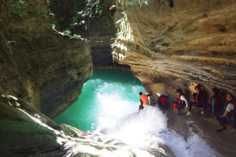 Walvishaai in Oslob, Tumalog-watervallen, Kawasan-watervallen, lunch (PRIVÉ)Oslob walvishaai, Tumalog-watervallen, Kawasan-watervallen, lunch PRIVÉ