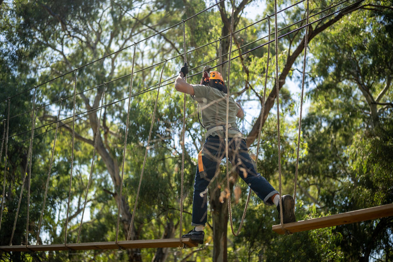 Adelaide: TreeClimb Adventure