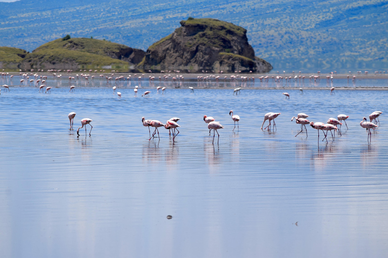 Arusha: Lake Natron Day Trip (Lake Walk &amp; Waterfall Hike)