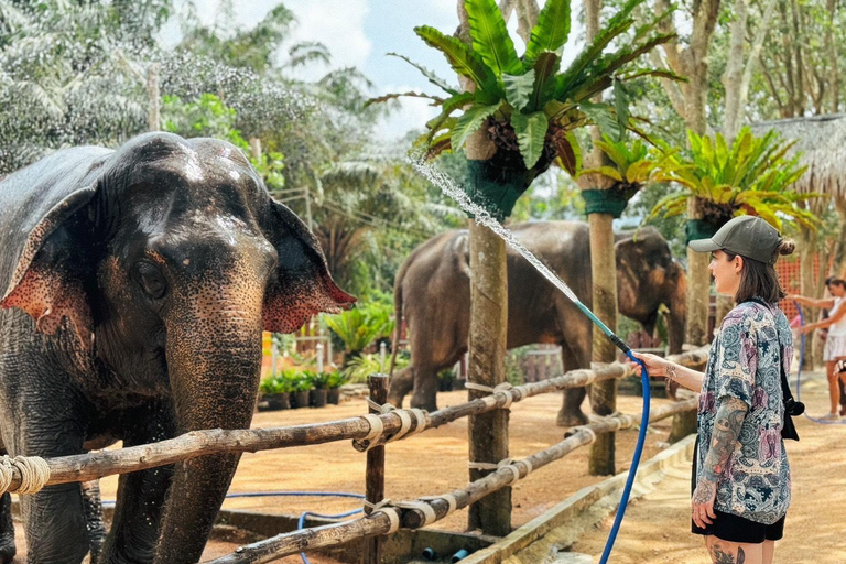 Koh Samui: Ethical Elephant Home Guided Tour with Transfers