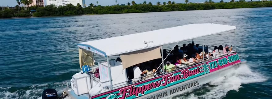 Clearwater Beach : excursion avec les dauphins - Flippers Fun Boat
