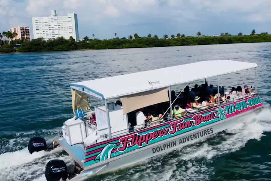 Clearwater Beach: Delfinausflug – Flippers Fun Boat. Foto: GetYourGuide