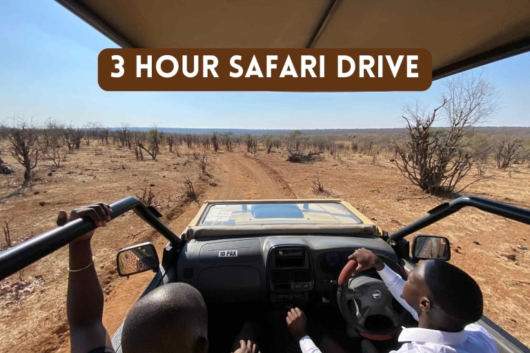 Victoria Falls: 3 Hour Safari Drive Group Tour
