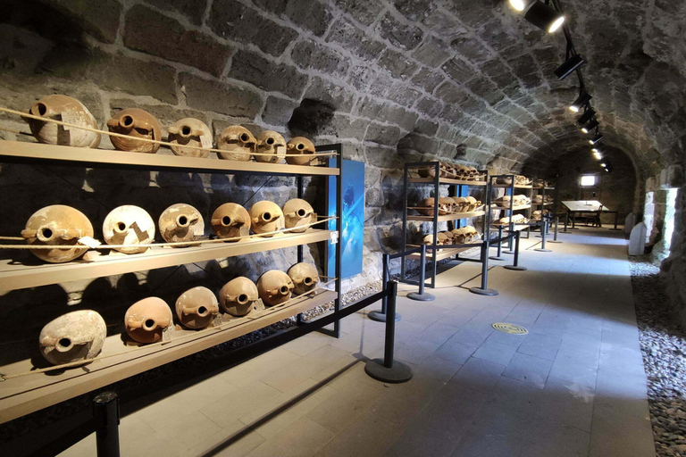 From Bodrum Port: Full-Day Tour with Castle and Mausoleum