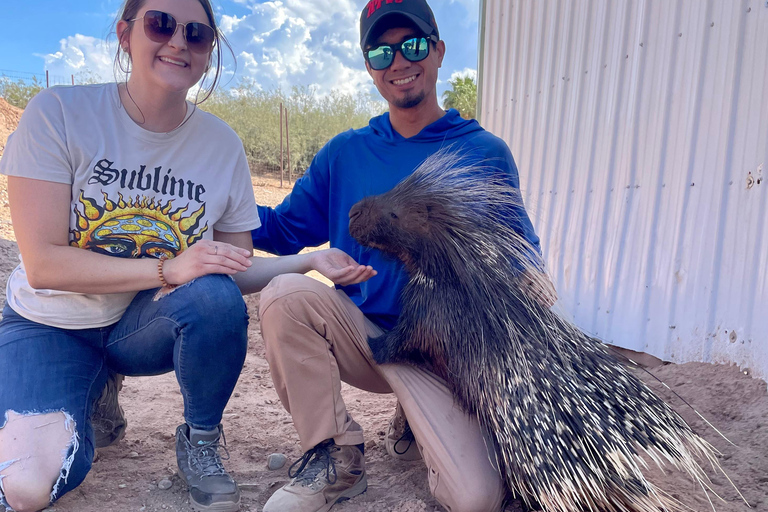 Las Vegas: Desert Camel Ride