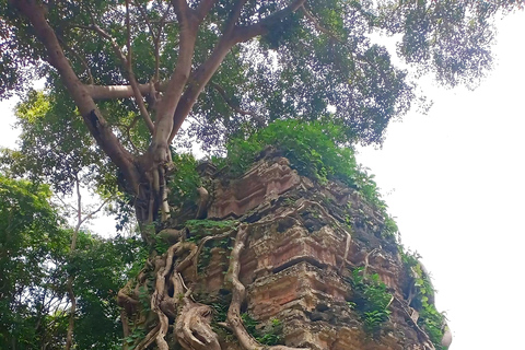 From Siem Reap: Sambor Prei Kuk and Kompong Kdei Day Trip