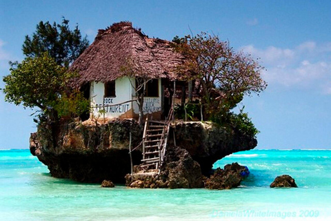 Zanzibar: Jozani Forest & The Rock Restaurant Day Trip Private Tour without Hotel transfer