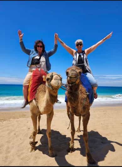 Rayan Tour 4 Heures Visite guidée de luxe de Tanger - excursion