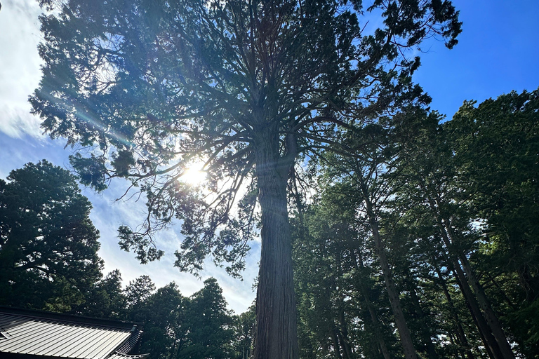 From Tokyo: Mt. Fuji or Hakone Private Sightseeing Day Trip Itinerary A: Mount Fuji