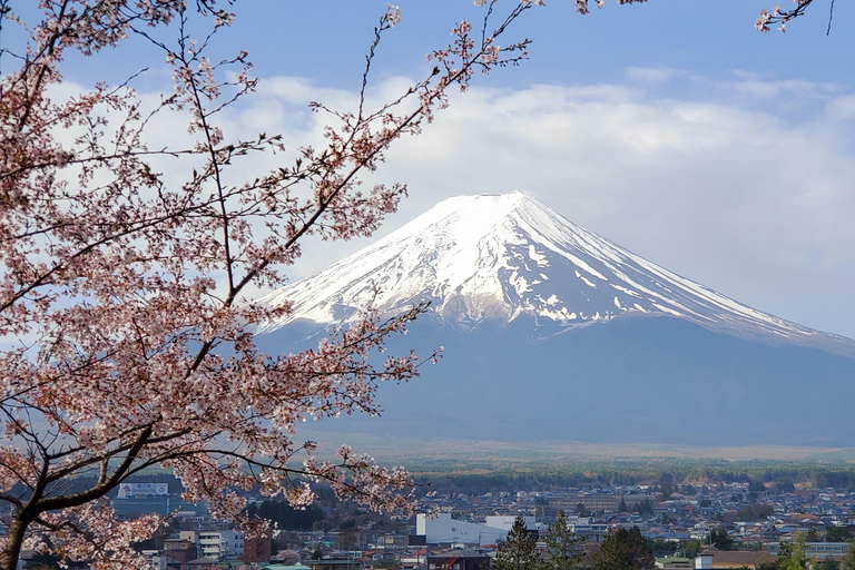 Mount Fuji & Hakone Full-Day Private Tour (Customizable) Hakone & Mount Fuji Tour w/English speaking guide