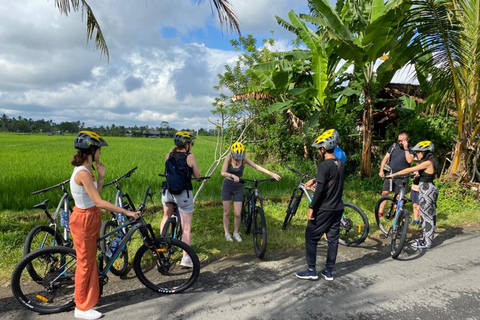 Ubud: downhill fietsen met vulkaan, rijstterrassen en maaltijd