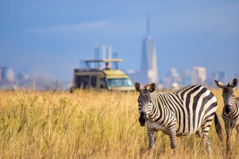 Nairobi: Nationalpark, Elefantenbaby & Giraffenzentrum Tour