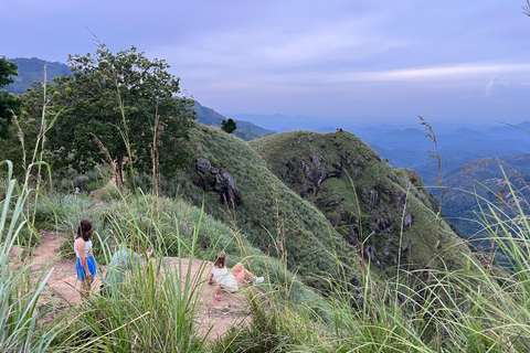Explorez Ella : randonnée sur les rochers, boucle, cascades, neuf arches et vue sur le trainDécouvrez Ella : randonnée dans les rochers, boucle, chutes d&#039;eau, neuf arches et vue