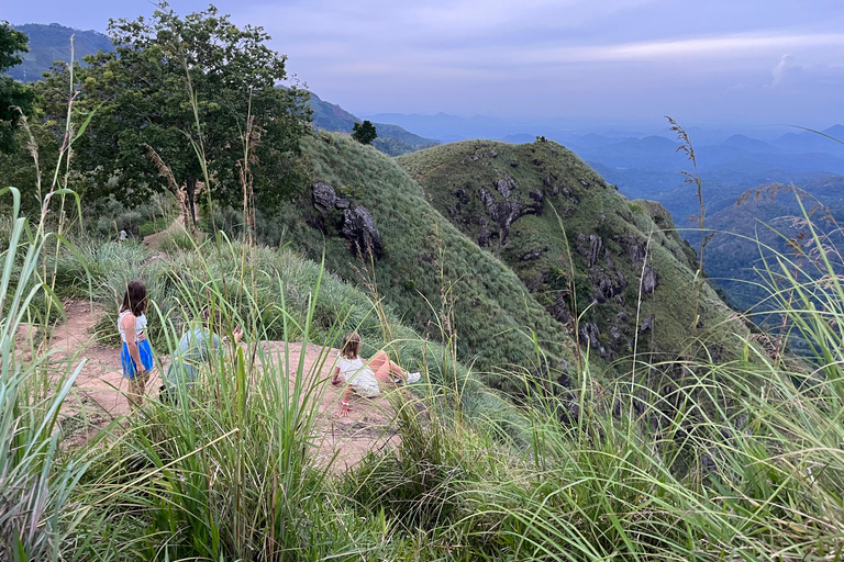Explorez Ella : randonnée sur les rochers, boucle, cascades, neuf arches et vue sur le trainDécouvrez Ella : randonnée dans les rochers, boucle, chutes d&#039;eau, neuf arches et vue
