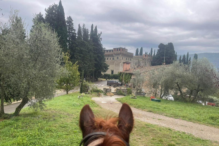 Florence: Horse ride 3h and Wine Tasting&Lunch at a castle