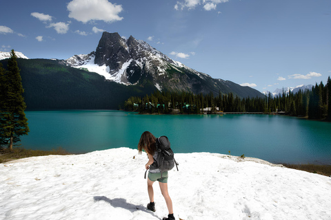 Emerald Lake, Wapta Falls, and Takakkaw Falls Tour in Banff