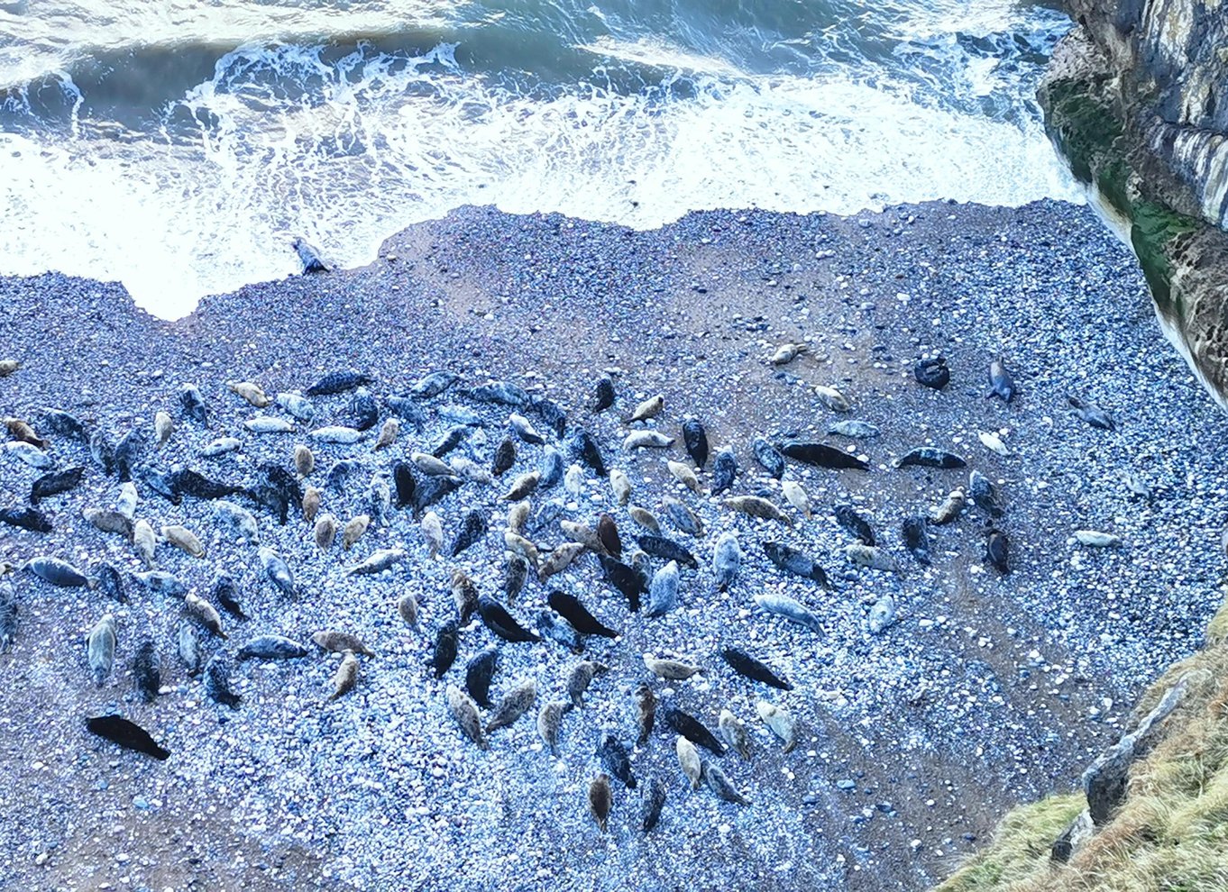 Fra Llandudno: Snowdonia Nationalpark og tre slots