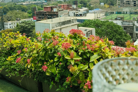 Discover Mumbai Express: Half-Day City Adventure