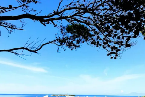 Agropoli : Tour en bateau de Punta Licosa avec déjeuner